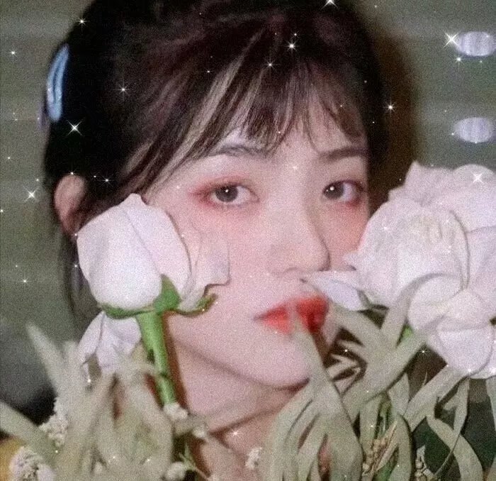 四子复仇记